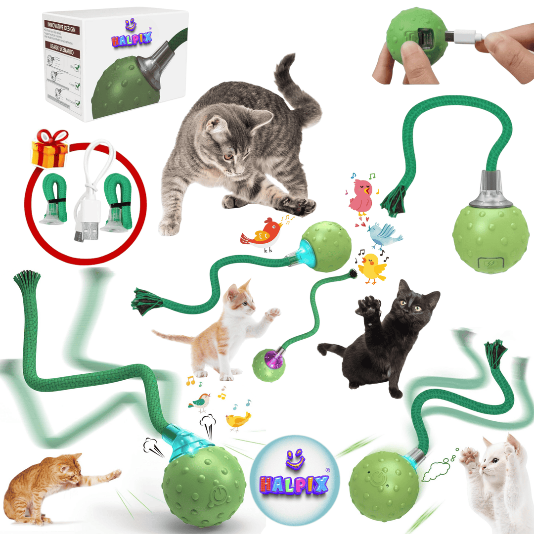 Never Bored Again: Why Your Cat Needs the Halpix Interactive Smart Ball 🎾✨