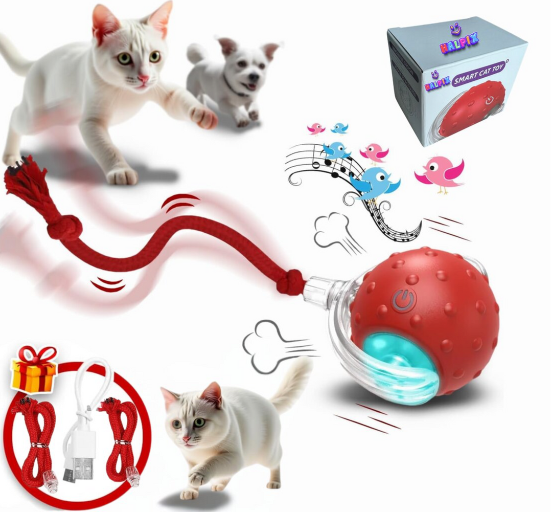 Why Your Cat Needs an Interactive Smart Ball: Solving the Boredom Crisis