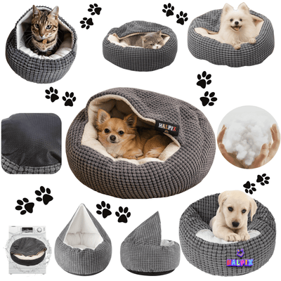 Halpix House Bed Sofa with Blanket for Pet for Dogs for Cats