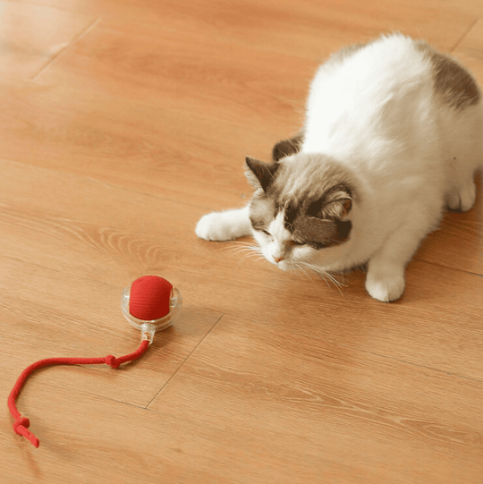 Halpix Interactive Rotating Smart Ball for Cats, Small Dogs, and Pets