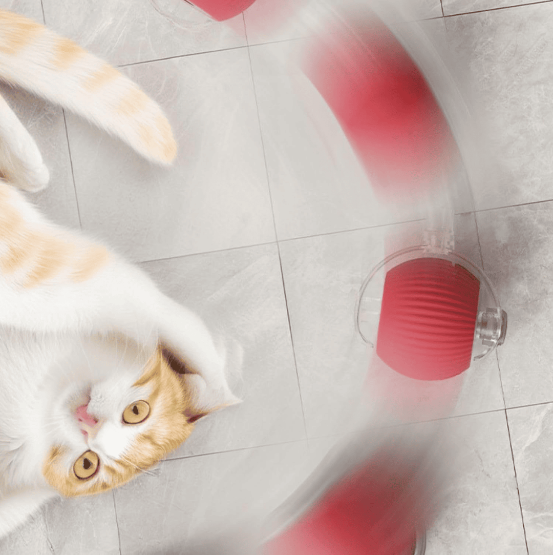 Halpix Interactive Rotating Smart Ball for Cats, Small Dogs, and Pets