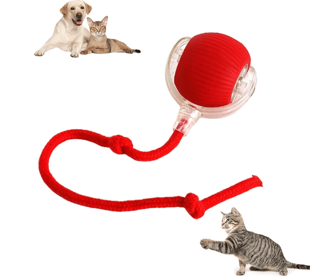 Halpix Interactive Rotating Smart Ball for Cats, Small Dogs, and Pets