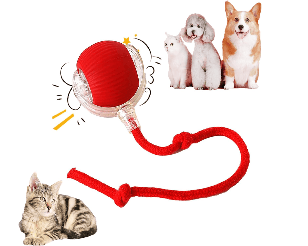 Halpix Interactive Rotating Smart Ball for Cats, Small Dogs, and Pets