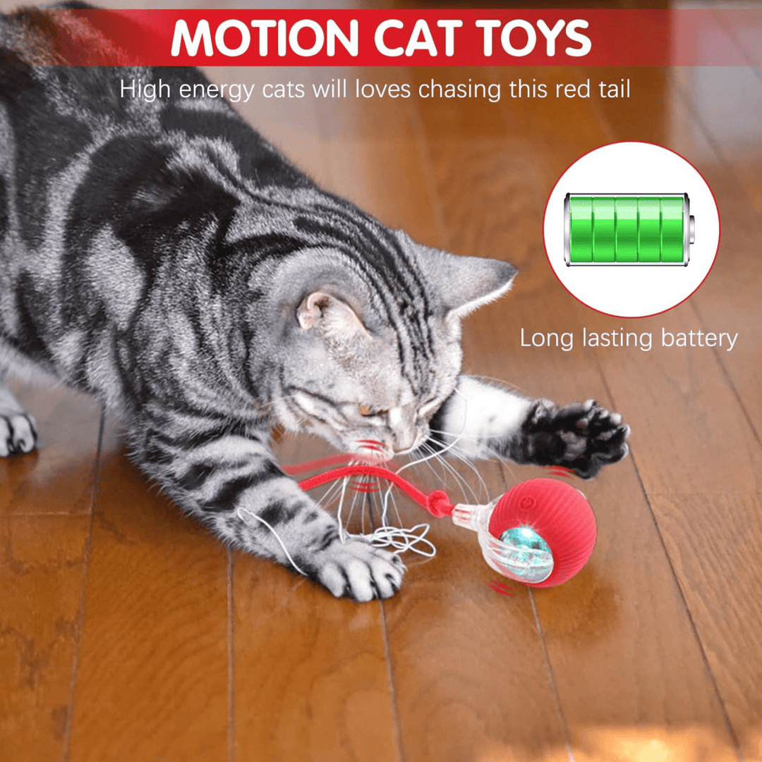 Halpix Interactive Rotating Smart Ball for Cats, Small Dogs, and Pets