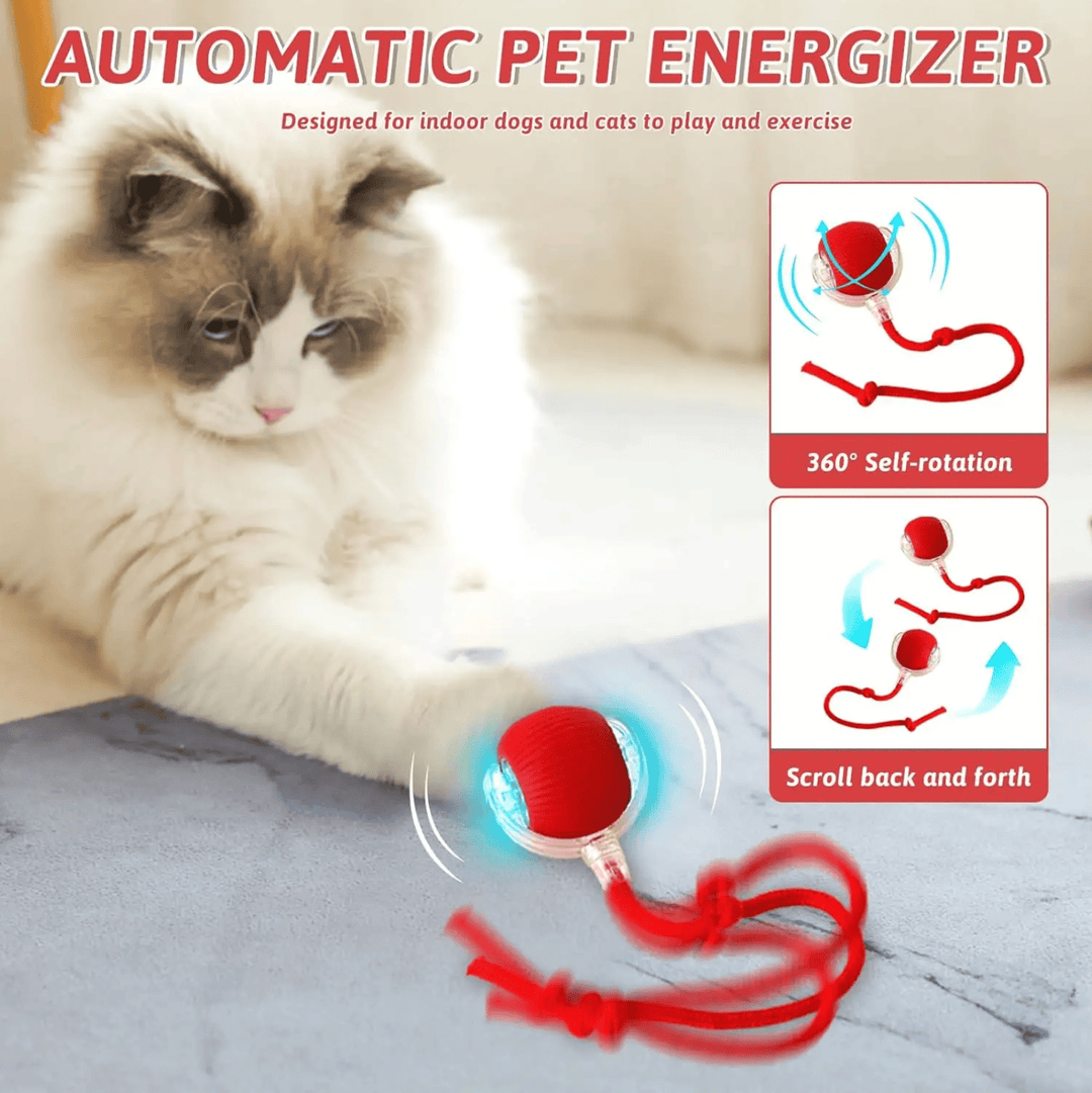 Halpix Interactive Rotating Smart Ball for Cats, Small Dogs, and Pets