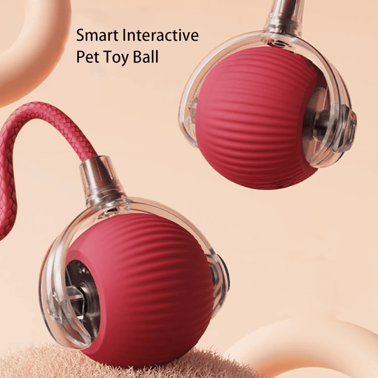 Halpix Interactive Rotating Smart Ball for Cats, Small Dogs, and Pets