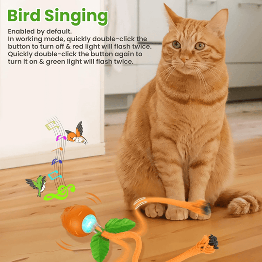 Halpix Interactive Smart Cat Ball Toy Carrot, Motion Activated Automatic Moving Ball Toy with Long Tail Teaser/Simulation Bird Sound/USB Rechargeable Cat Toys Self Play - Halpix