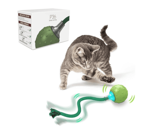 Halpix Interactive Smart Cat Ball Toy Green, Motion Activated Automatic Moving Ball Toy with Long Tail Teaser/Simulation Bird Sound/USB Rechargeable Cat Toys Self Play - Halpix