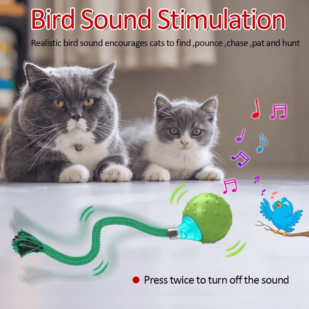 Halpix Interactive Smart Cat Ball Toy Green, Motion Activated Automatic Moving Ball Toy with Long Tail Teaser/Simulation Bird Sound/USB Rechargeable Cat Toys Self Play - Halpix