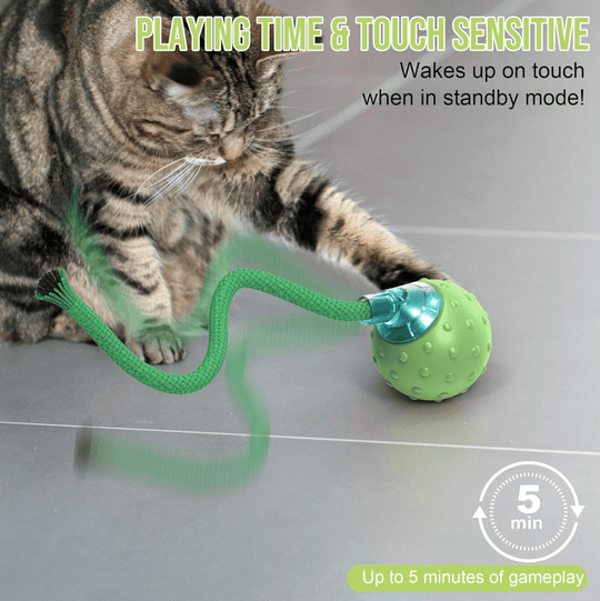 Halpix Interactive Smart Cat Ball Toy Green, Motion Activated Automatic Moving Ball Toy with Long Tail Teaser/Simulation Bird Sound/USB Rechargeable Cat Toys Self Play - Halpix