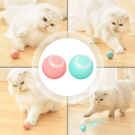 Halpix Interactive Smart Cat Toy Ball - Automatic 360° Self-Rotating USB Rechargeable Exercise Chase Ball for Cats Kittens & Puppies - Halpix