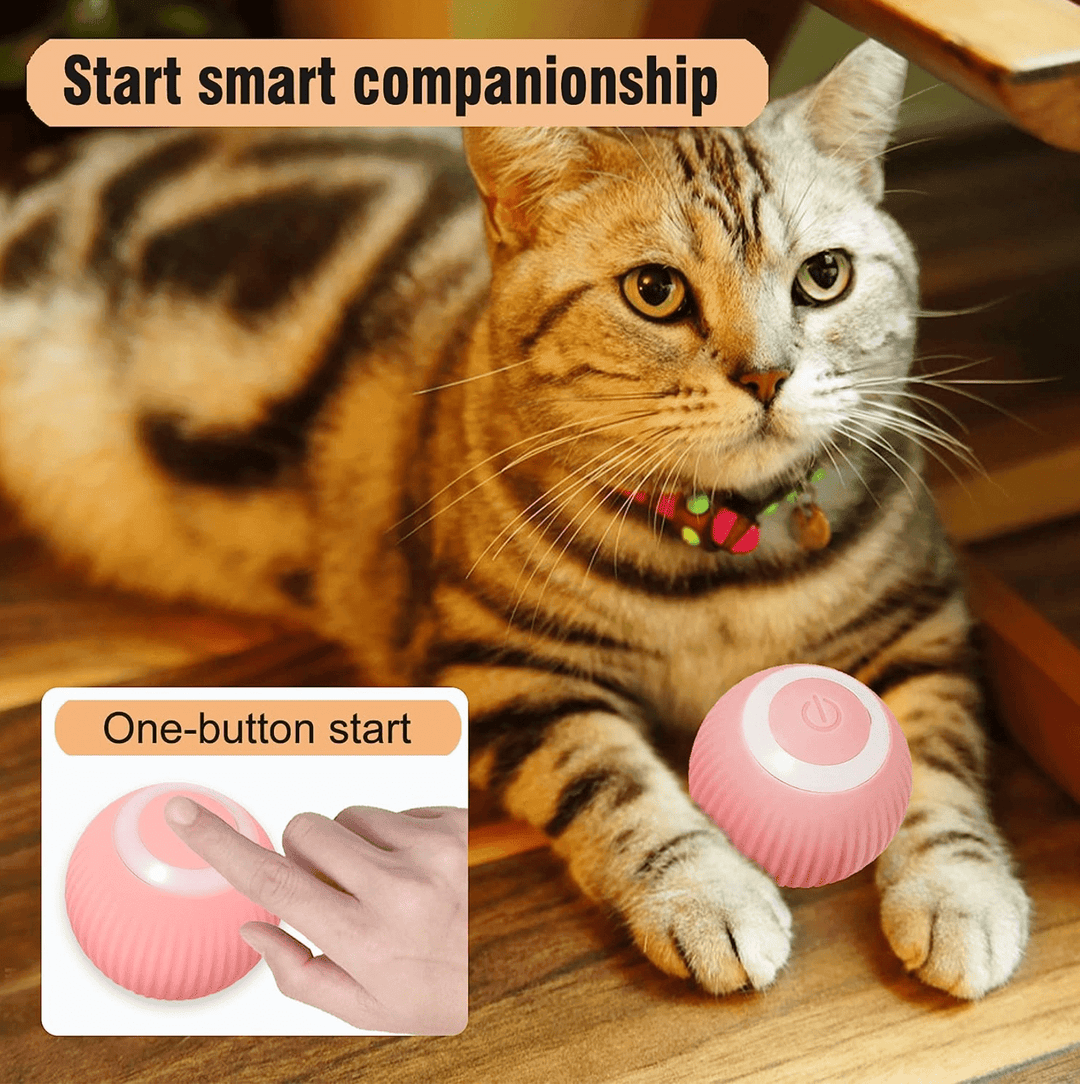 Halpix Interactive Smart Cat Toy Ball - Automatic 360° Self-Rotating USB Rechargeable Exercise Chase Ball for Cats Kittens & Puppies - Halpix