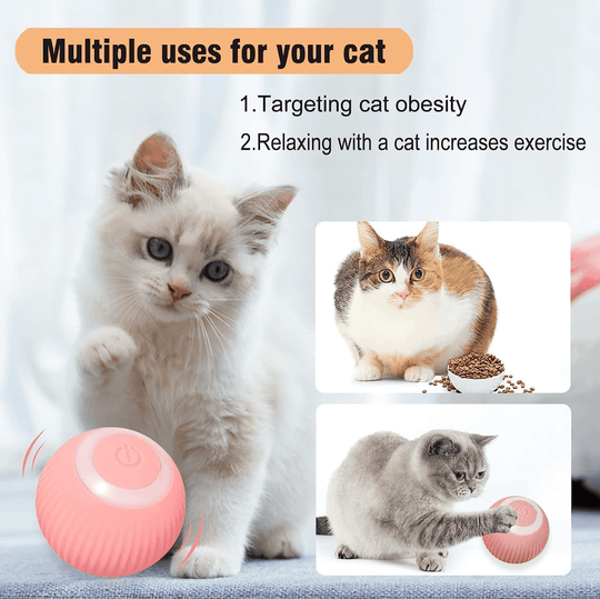 Halpix Interactive Smart Cat Toy Ball - Automatic 360° Self-Rotating USB Rechargeable Exercise Chase Ball for Cats Kittens & Puppies - Halpix