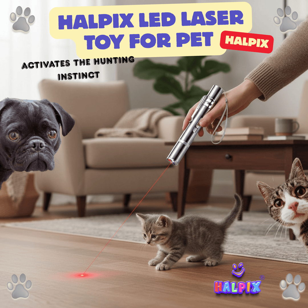 Interaktiivne lasermänguasi kassidele, koertele ja lemmikloomadele Halpix Laser Toy