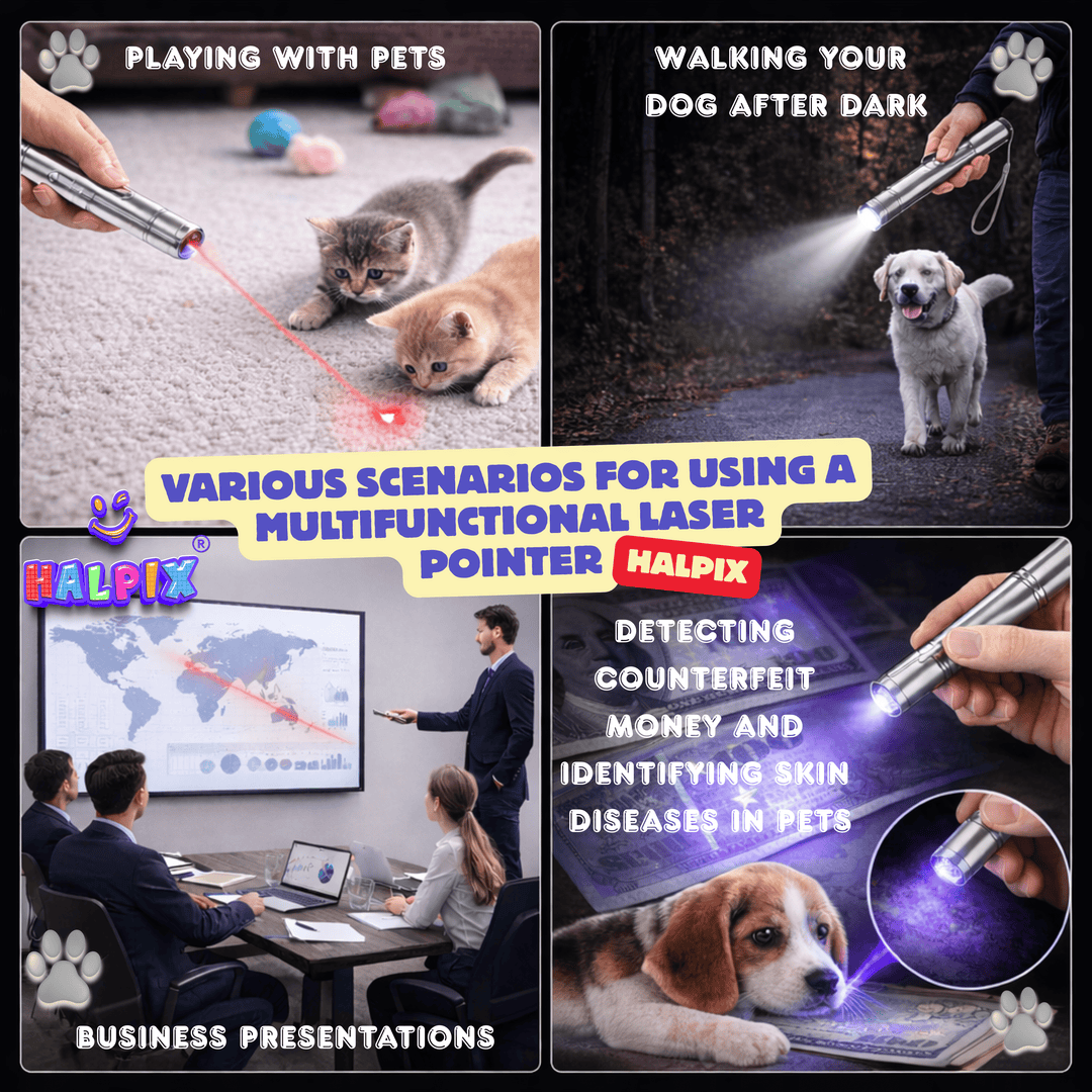 Interaktiivne lasermänguasi kassidele, koertele ja lemmikloomadele Halpix Laser Toy
