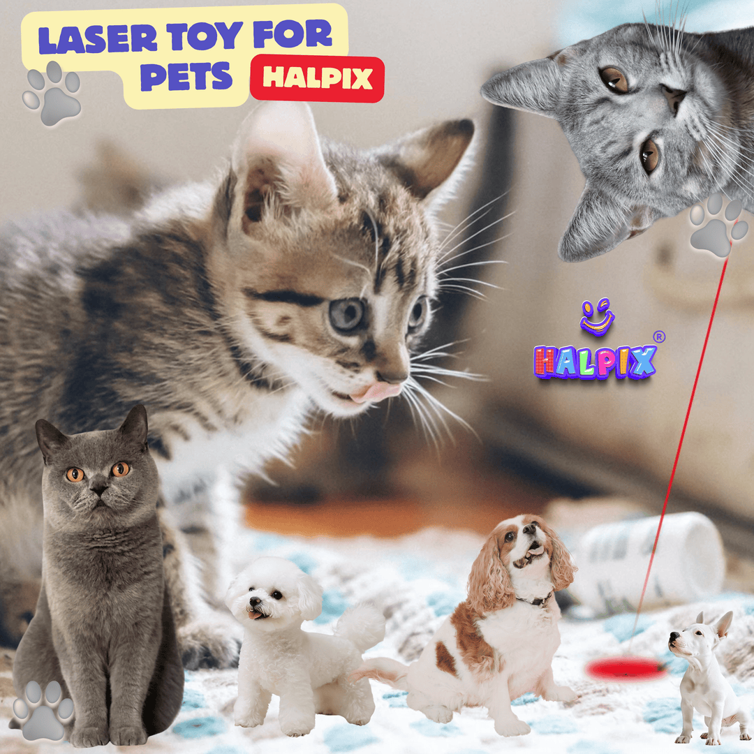 Interaktiivne lasermänguasi kassidele, koertele ja lemmikloomadele Halpix Laser Toy