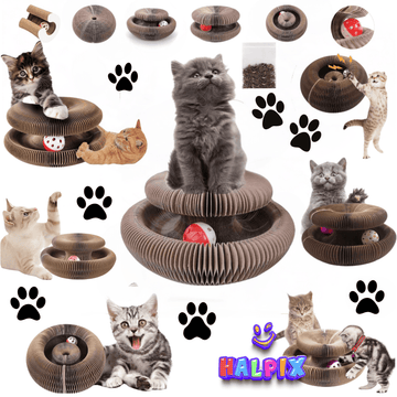 Halpix Magic Organ Cat Scratching Board - Reversible, Durable, Interactive Pad