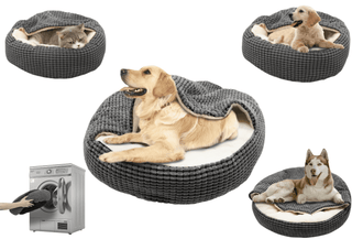 Halpix House Bed Sofa with Blanket for Pet for Dogs for Cats