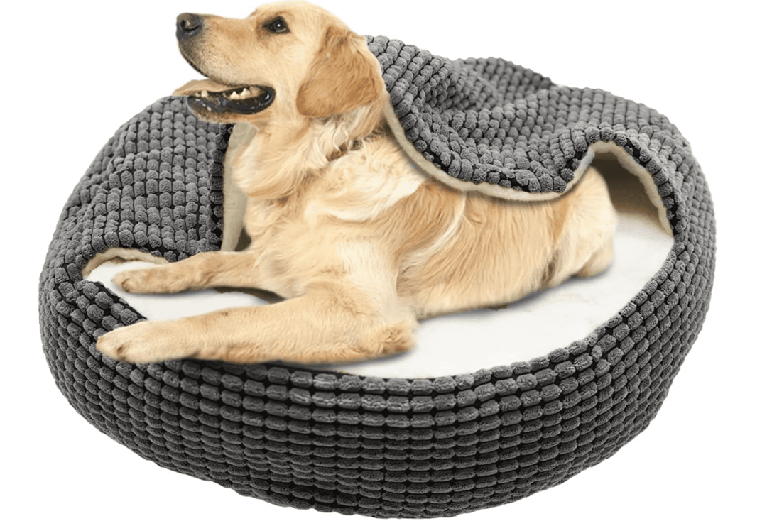 House Bed Sofa with Pet Blanket for Dogs for Cats Halpix - Halpix