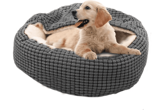 House Bed Sofa with Pet Blanket for Dogs for Cats Halpix - Halpix