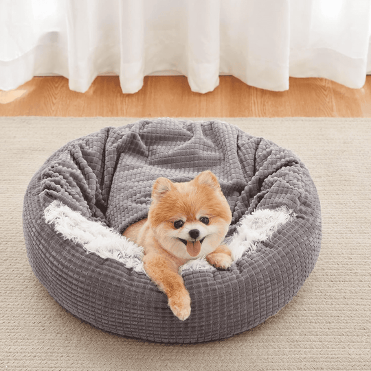 House Bed Sofa with Pet Blanket for Dogs for Cats Halpix - Halpix