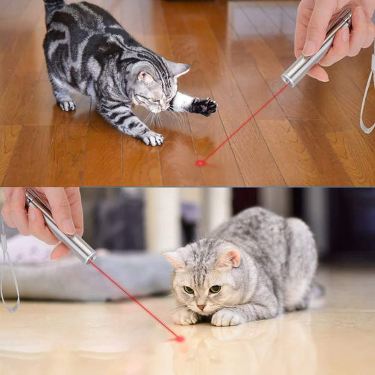 Interactive laser toy for cats, dogs and pets Halpix Laser Toy - Halpix