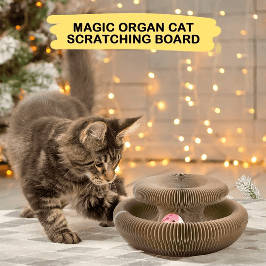 Halpix Magic Organ Cat Scratching Board, Interactive Scratch Pad with a Ball, Cat Scratcher for Grinding Claw, Recyclable and Durable, Furniture Protector, Retractable, Brown, Reversible - Halpix