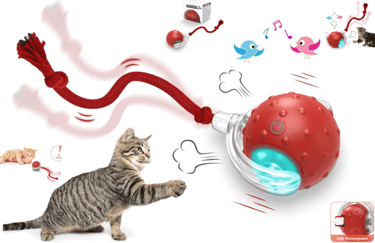 Halpix Interactive Smart Cat Ball Toy Red, Motion Activated Automatic Moving Ball Toy with Long Tail Teaser/Simulation Bird Sound/USB Rechargeable Cat Toys Self Play - Halpix