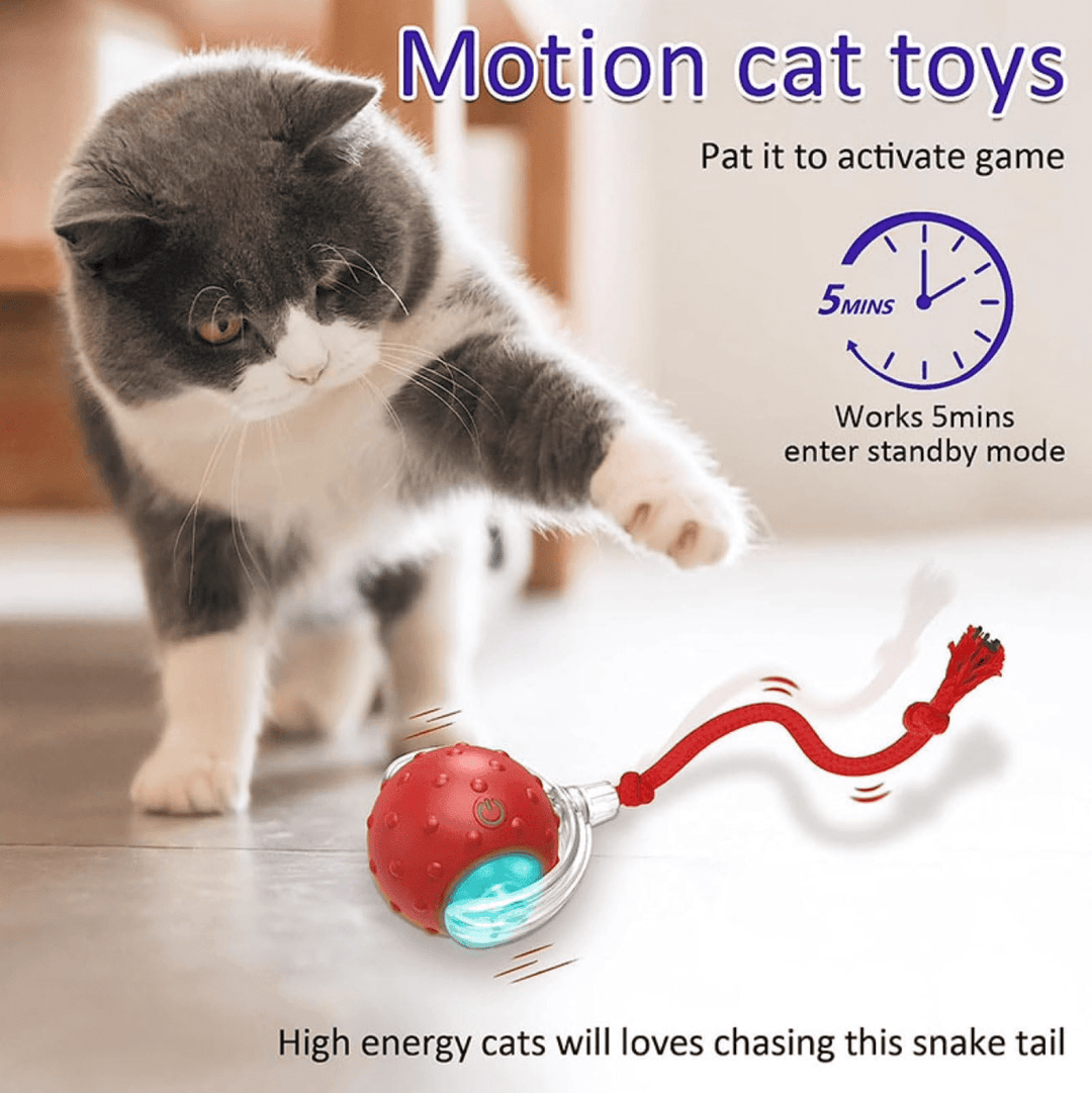 Halpix Interactive Smart Cat Ball Toy Red, Motion Activated Automatic Moving Ball Toy with Long Tail Teaser/Simulation Bird Sound/USB Rechargeable Cat Toys Self Play - Halpix