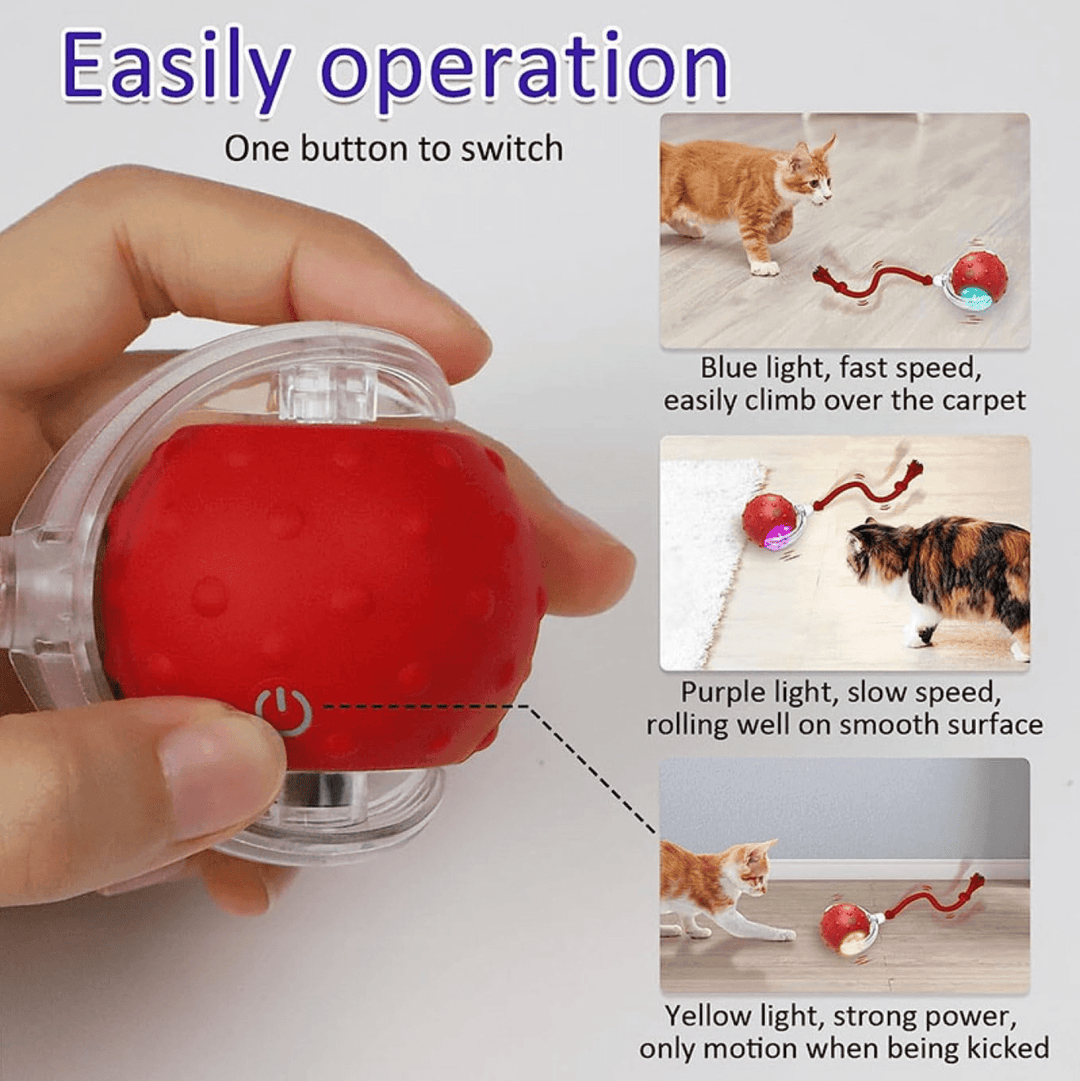 Halpix Interactive Smart Cat Ball Toy Red, Motion Activated Automatic Moving Ball Toy with Long Tail Teaser/Simulation Bird Sound/USB Rechargeable Cat Toys Self Play - Halpix