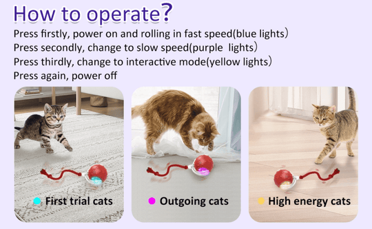 Halpix Interactive Smart Cat Ball Toy Red, Motion Activated Automatic Moving Ball Toy with Long Tail Teaser/Simulation Bird Sound/USB Rechargeable Cat Toys Self Play - Halpix