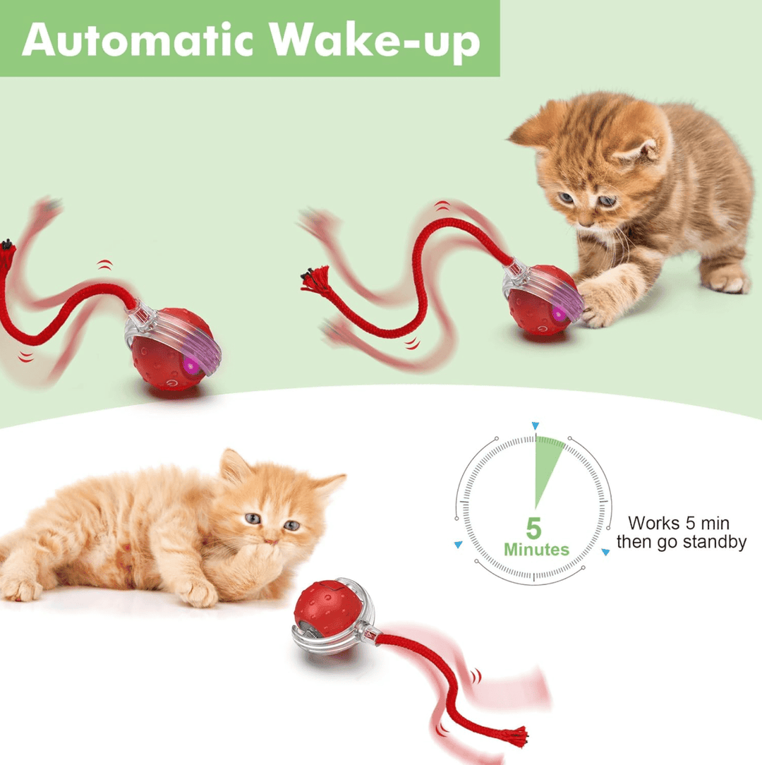 Halpix Interactive Smart Cat Ball Toy Red, Motion Activated Automatic Moving Ball Toy with Long Tail Teaser/Simulation Bird Sound/USB Rechargeable Cat Toys Self Play - Halpix