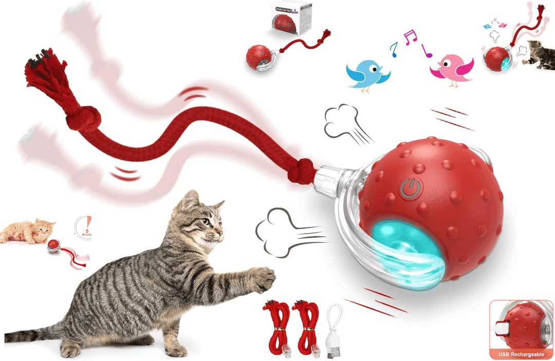 Halpix Interactive Smart Cat Ball Toy Red, Motion Activated Automatic Moving Ball Toy with Long Tail Teaser/Simulation Bird Sound/USB Rechargeable Cat Toys Self Play - Halpix