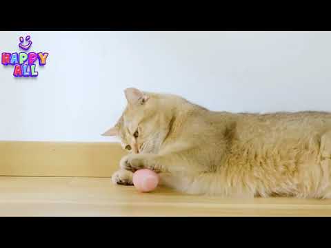 Halpix Interactive Smart Cat Toy Ball - 360° Self-Rotating USB Rechargeable