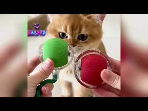 Halpix Interactive Rotating Smart Ball for Cats, Small Dogs, and Pets