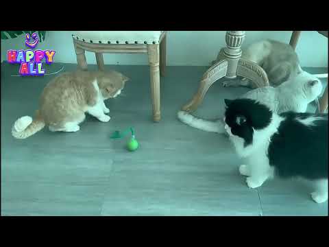 Halpix Interactive Smart Cat Ball Toy Green - Motion Activated with Tail, Sound & USB