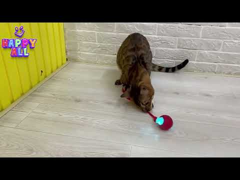 Halpix Interactive Smart Cat Ball Toy Red - Motion Activated with Tail, Sound & USB